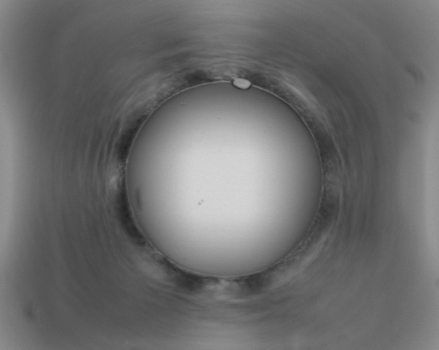 X0000113780125200910071231