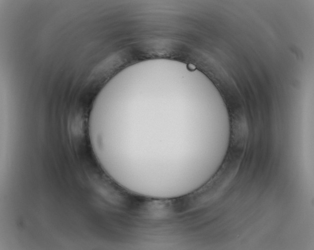 X0000113780126200910071231