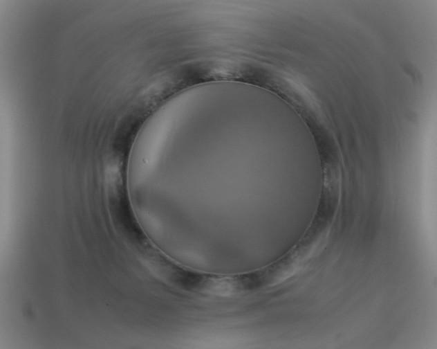 X0000113780127200910071231