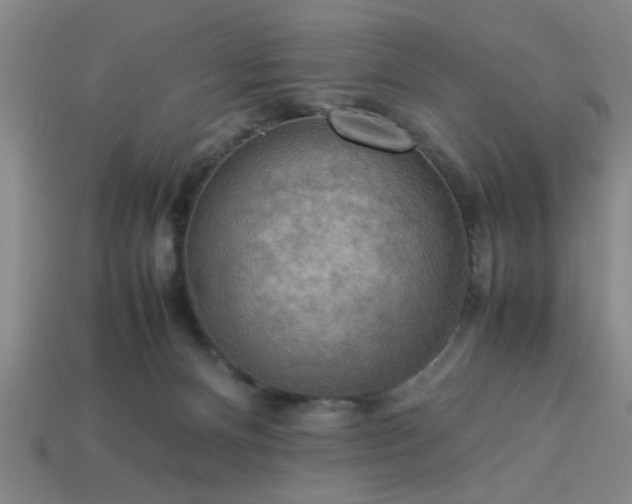 X0000113780128200910071231