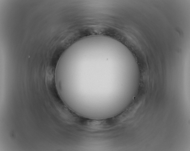 X0000113780129200910071231