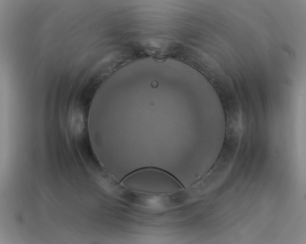 X0000113780130200910071231