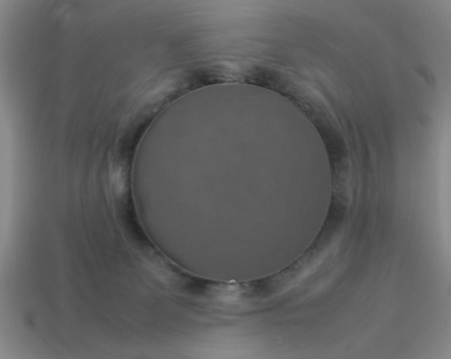 X0000113780131200910071231