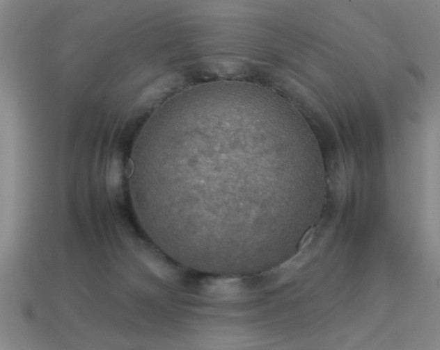 X0000113780132200910071231