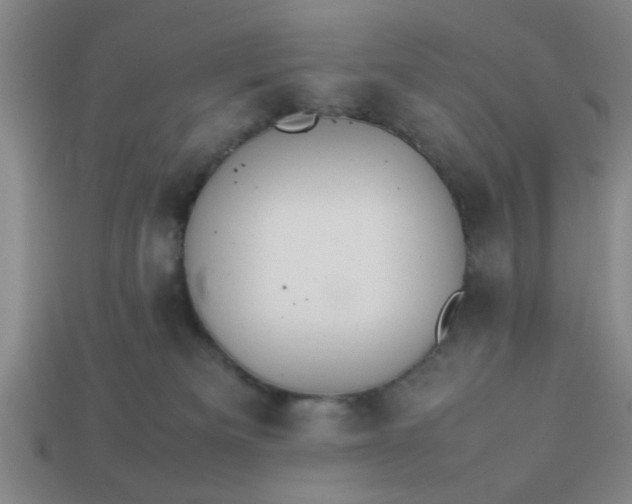 X0000113780133200910071231