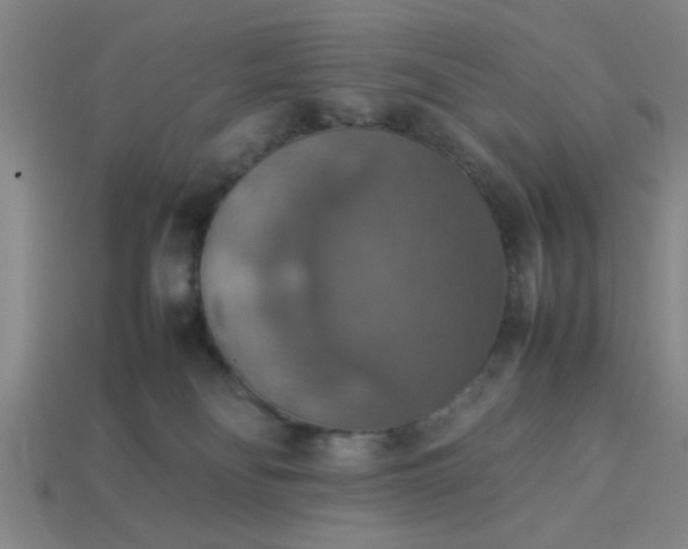 X0000113780134200910071231