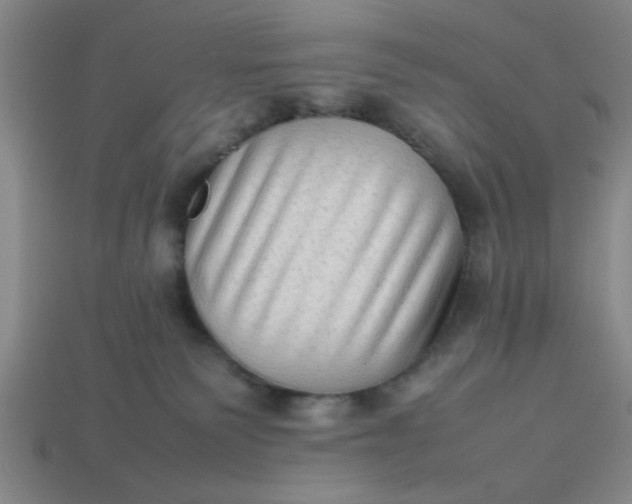 X0000113780135200910071231