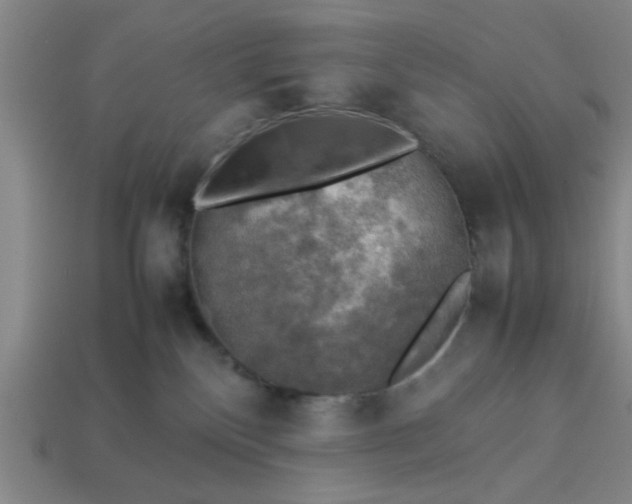 X0000113780136200910071231