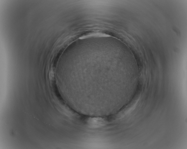 X0000113780137200910071231