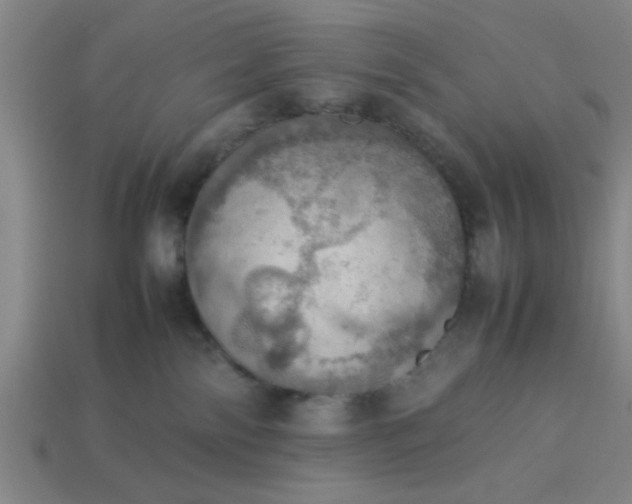 X0000113780138200910071231