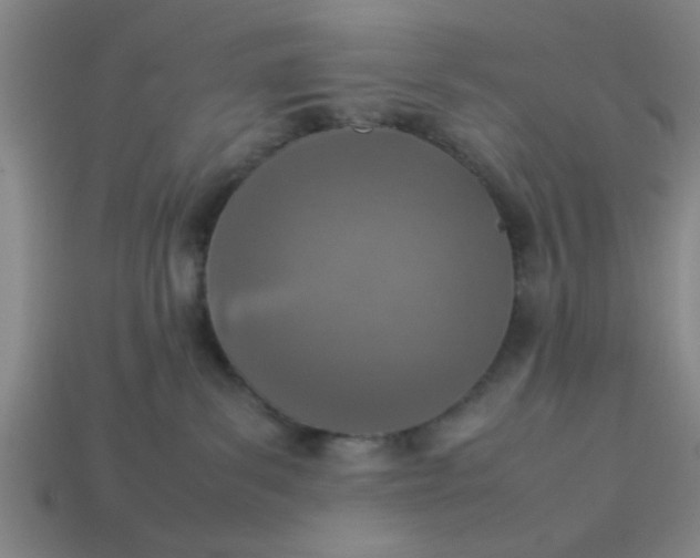 X0000113780139200910071231