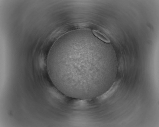 X0000113780140200910071231