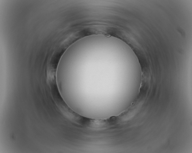 X0000113780141200910071231