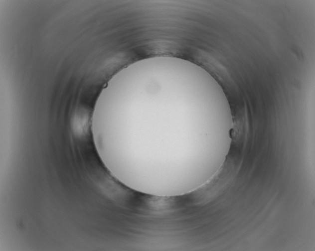 X0000113780142200910071231