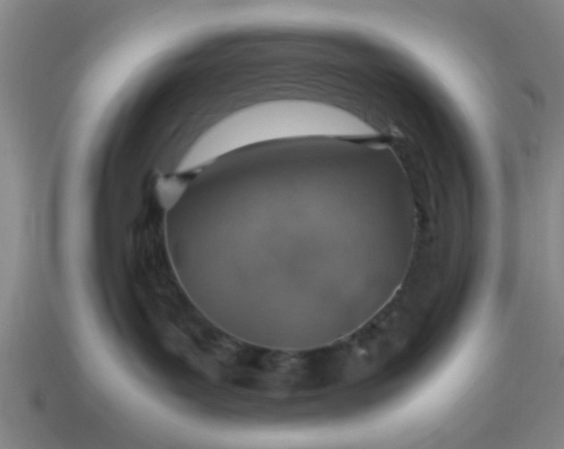 X0000113780143200910071231