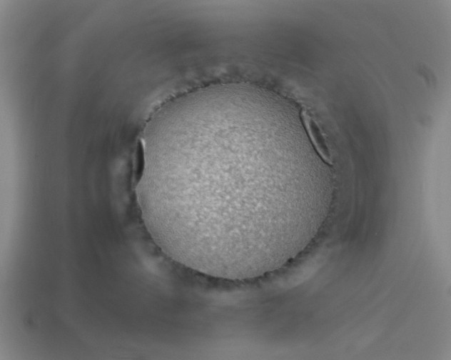 X0000113780144200910071231