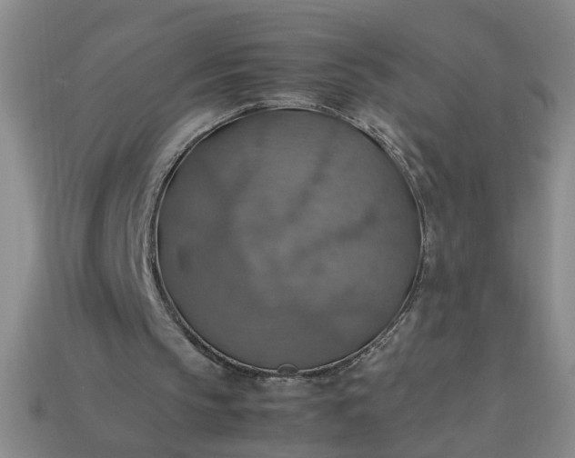 X0000113780145200910071230