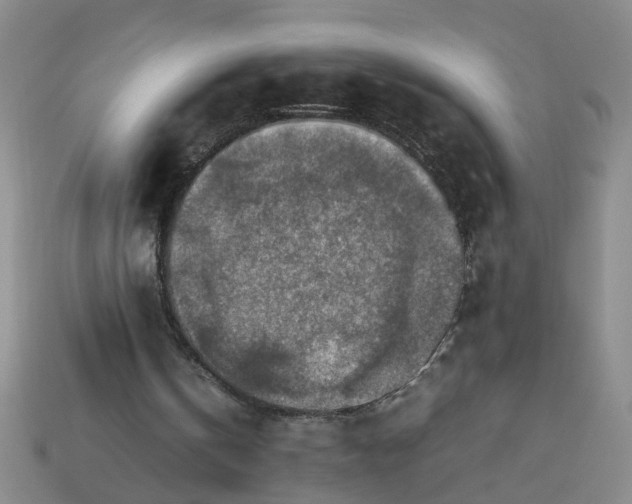 X0000113780146200910071230