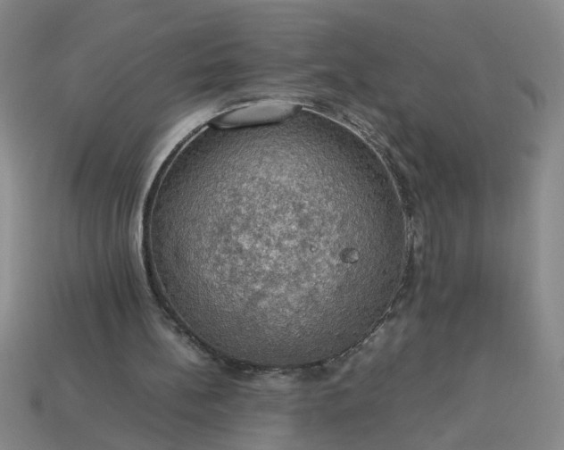 X0000113780148200910071230