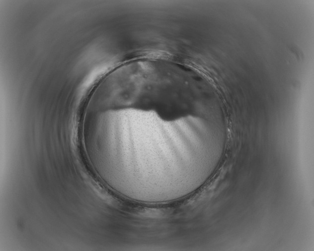 X0000113780149200910071231