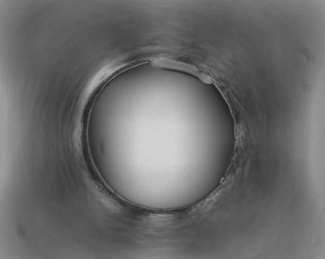 X0000113780150200910071231