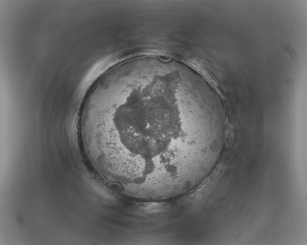 X0000113780151200910071231