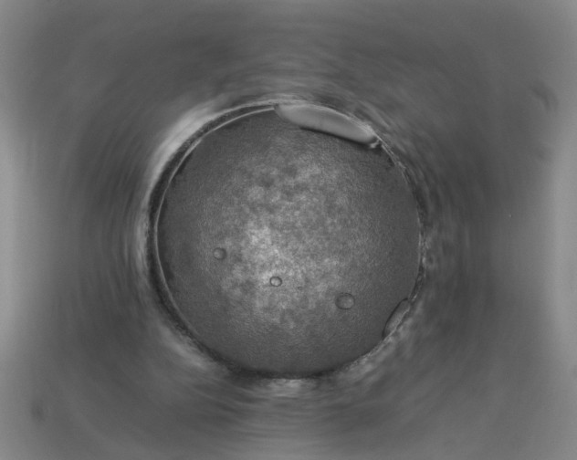 X0000113780152200910071231