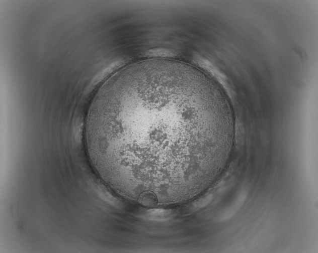 X0000113780153200910071231