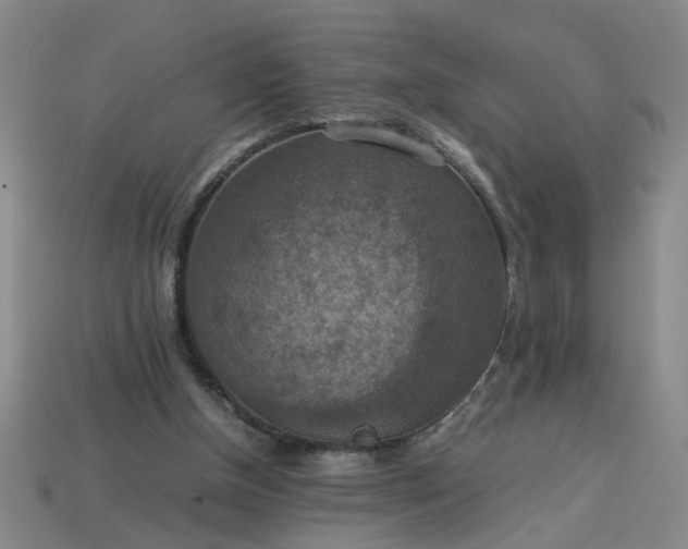 X0000113780154200910071231