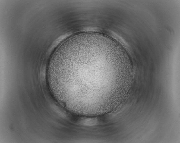 X0000113780155200910071231