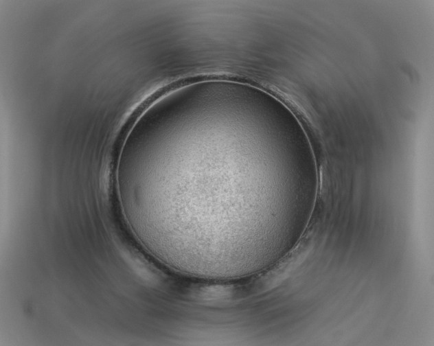 X0000113780156200910071231