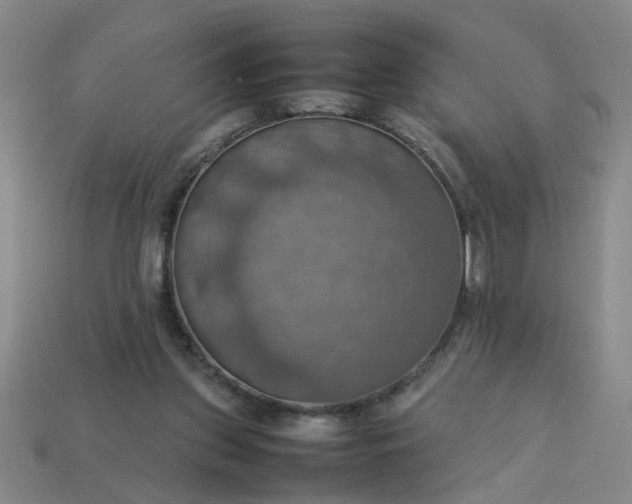 X0000113780157200910071231