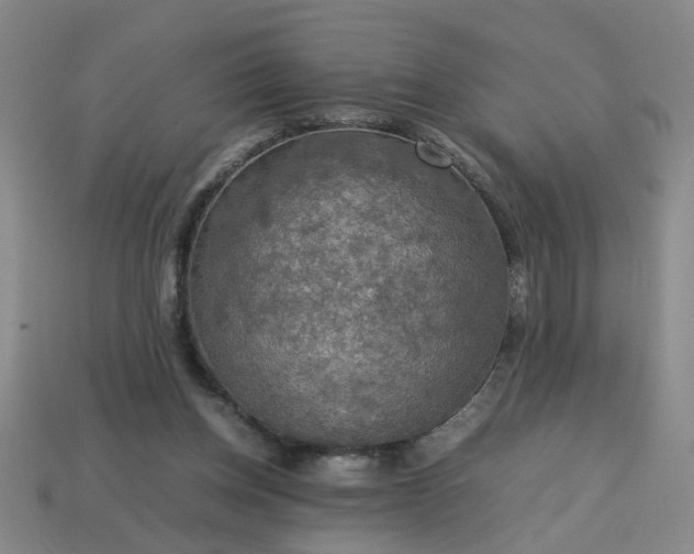 X0000113780158200910071231