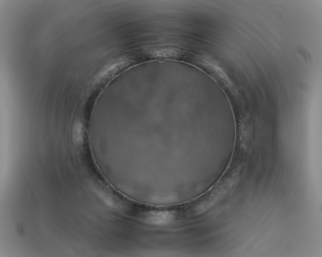 X0000113780161200910071231