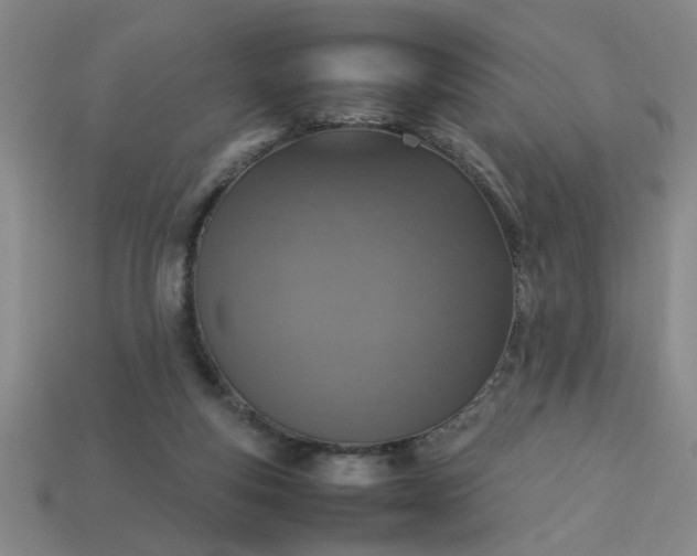 X0000113780163200910071231