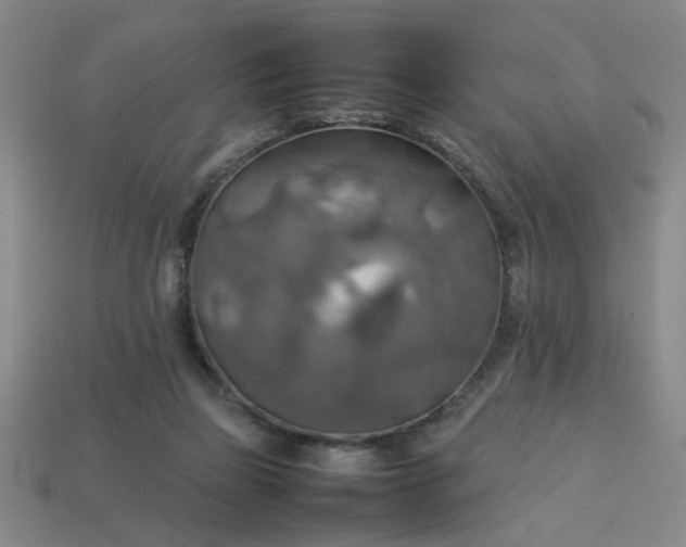 X0000113780165200910071231