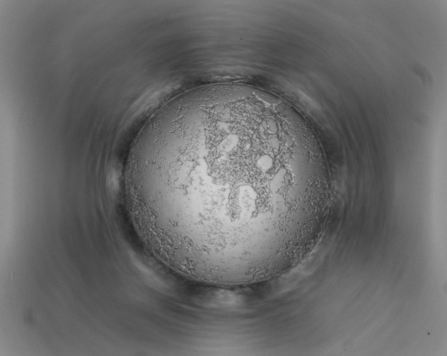 X0000113780166200910071231