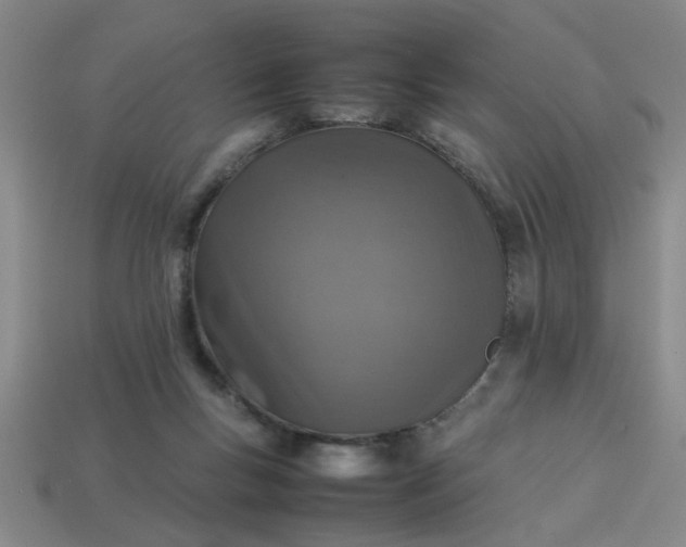 X0000113780167200910071231