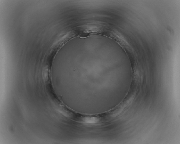 X0000113780169200910071231