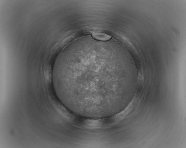 X0000113780170200910071231