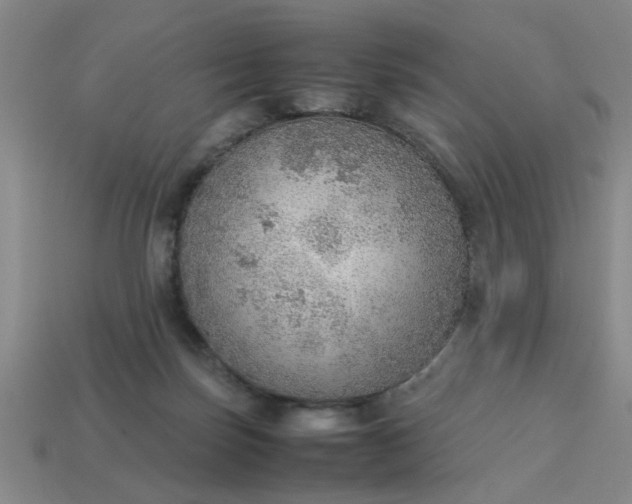 X0000113780171200910071231