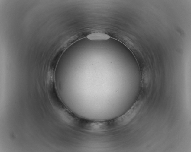 X0000113780172200910071231