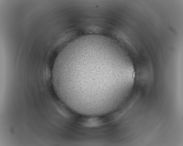 X0000113780173200910071231