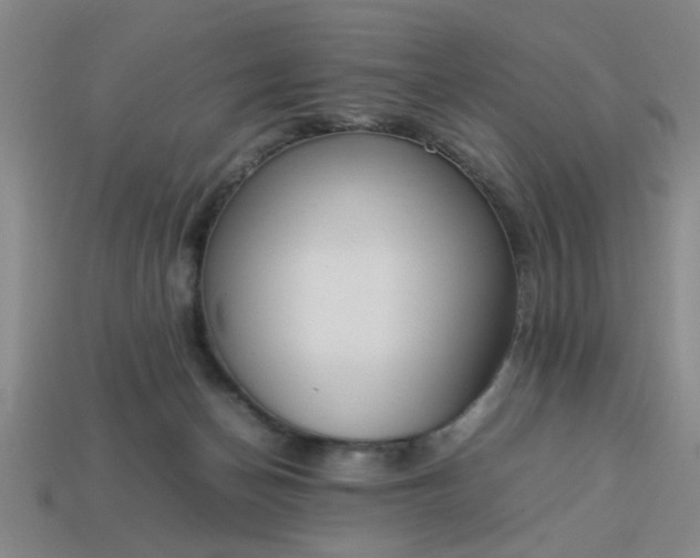 X0000113780174200910071231