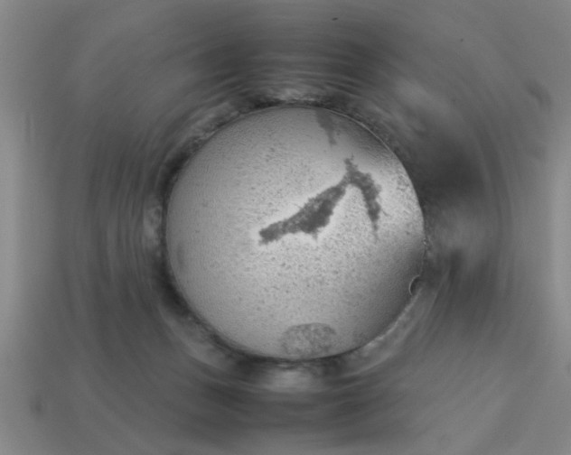 X0000113780175200910071231