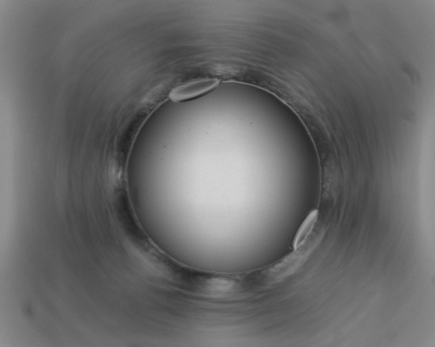 X0000113780176200910071231