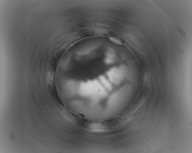 X0000113780177200910071231