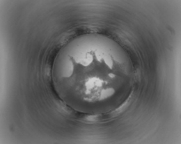 X0000113780178200910071231