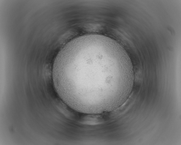 X0000113780179200910071231