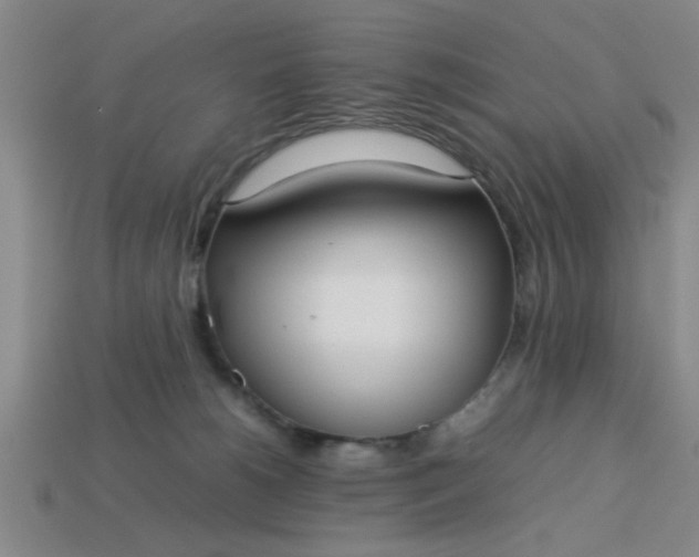 X0000113780180200910071231